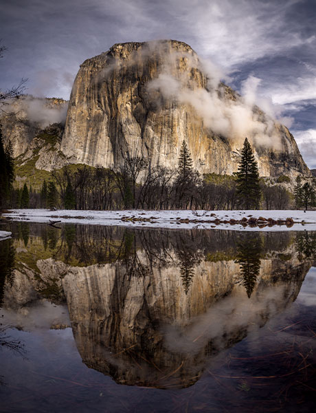 Best of Division ribbon, Tulare County Fair