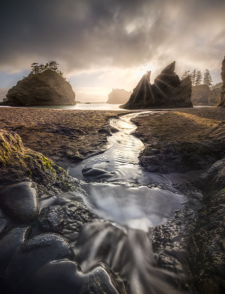 Best of Show ribbon, Tulare County Fair