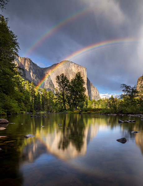 Fairgoers Favorite ribbon, Tulare County Fair