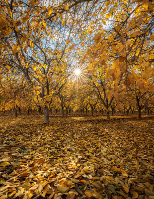 Crop & Livestock Report 2024 interior