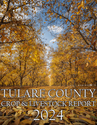 Crop & Livestock Report 2024